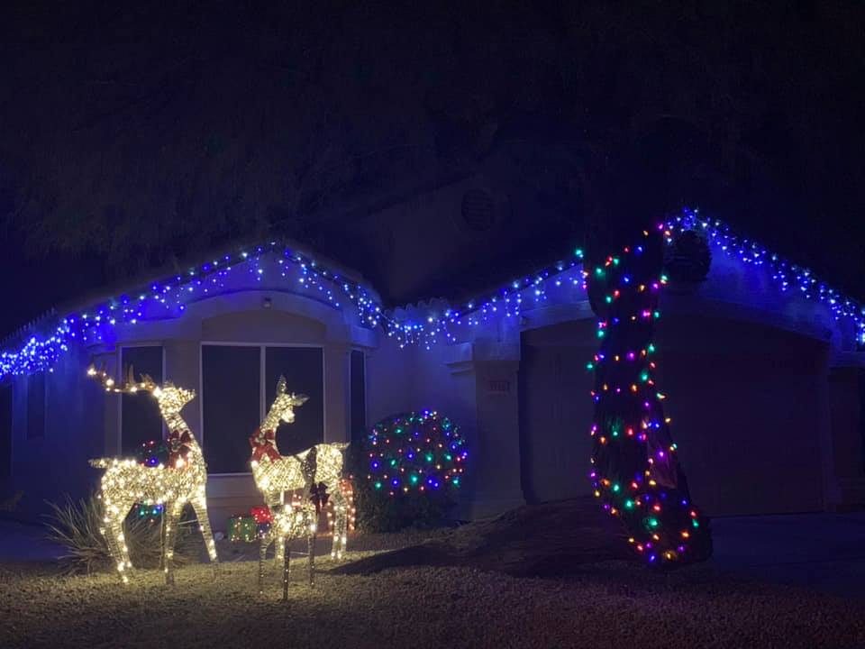 House decorated with blue lights, glowing reindeer, and a lit tree for Christmas at night