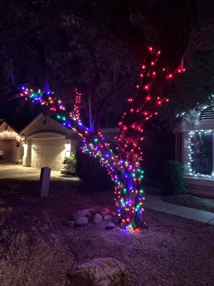 Front yard tree wrapped in colorful red, blue, and purple holiday lights at night