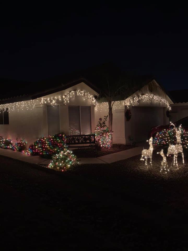 House decorated with colorful Christmas lights and illuminated reindeer lawn ornaments at night