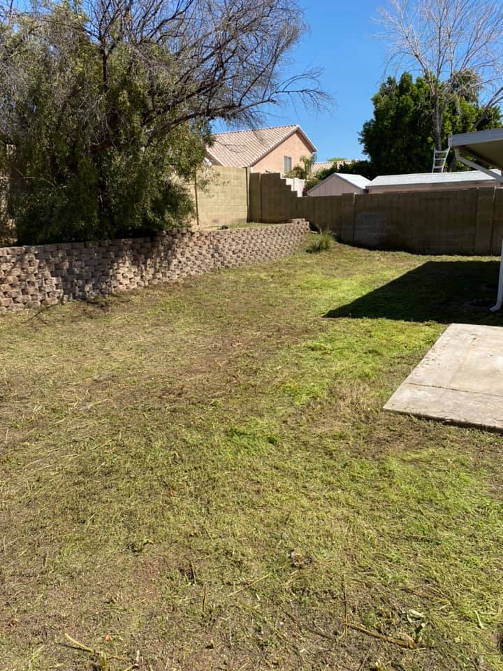 Backyard with patchy grass, stone wall, wooden fence, trees, and a concrete patio under a blue sky
