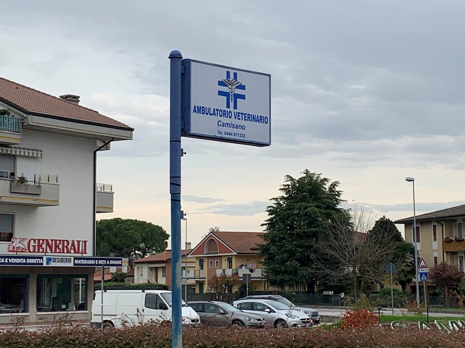 clinica per animali