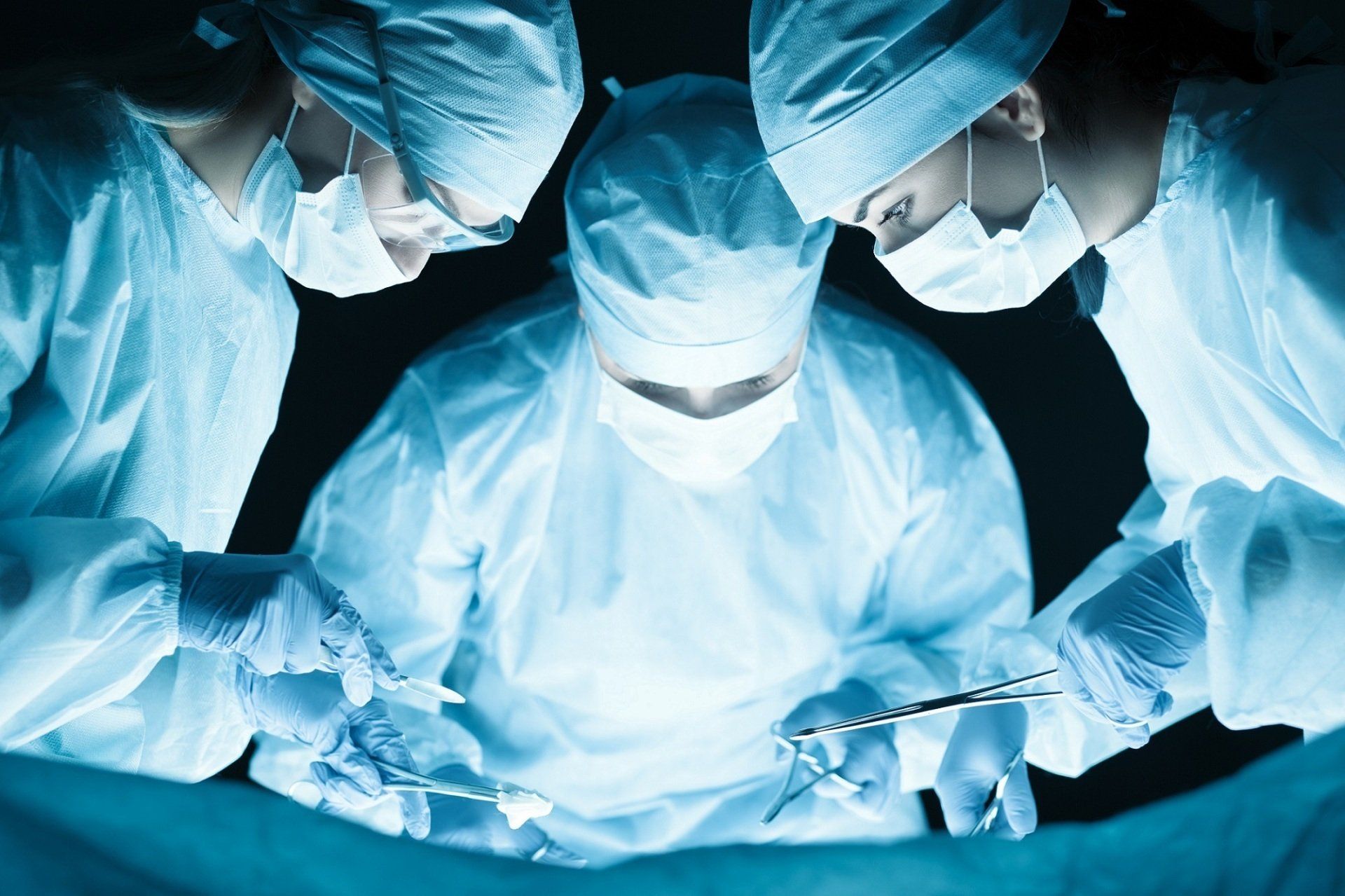 chirurgia generale veterinaria