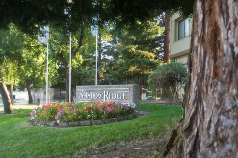 Shadow Ridge