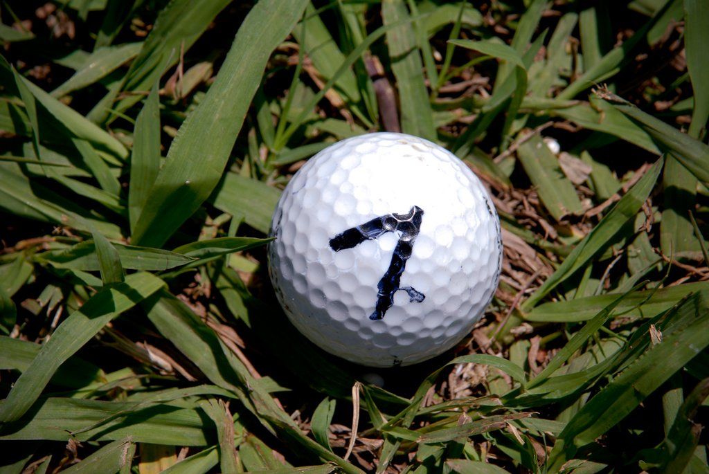 Golf ball with the number 7 on it, resting on green grass.