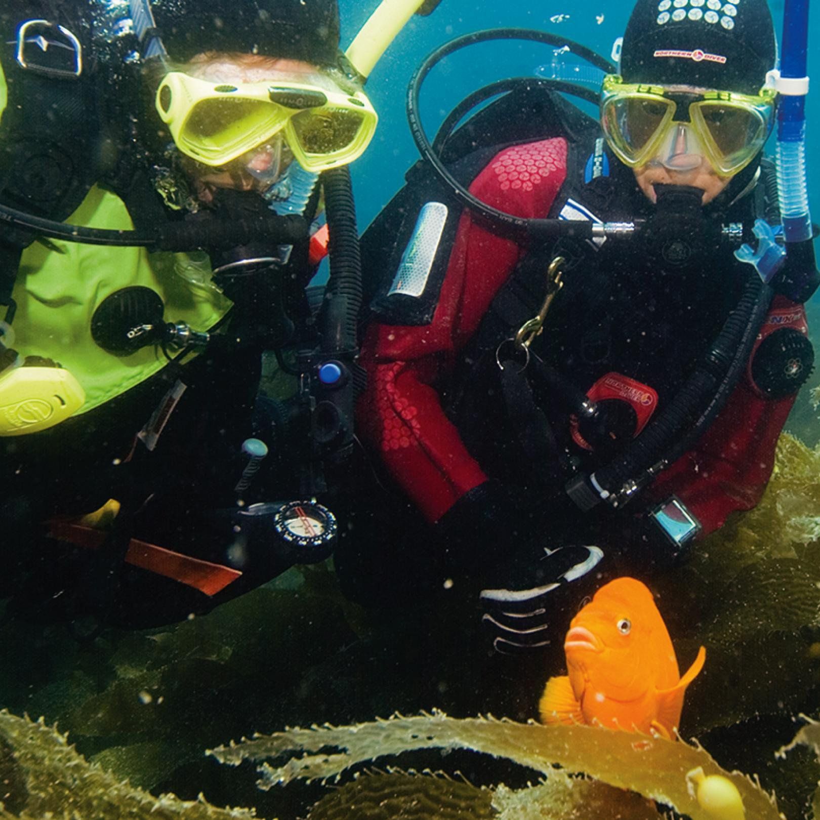 PADI Dry Suit Diver Specialty