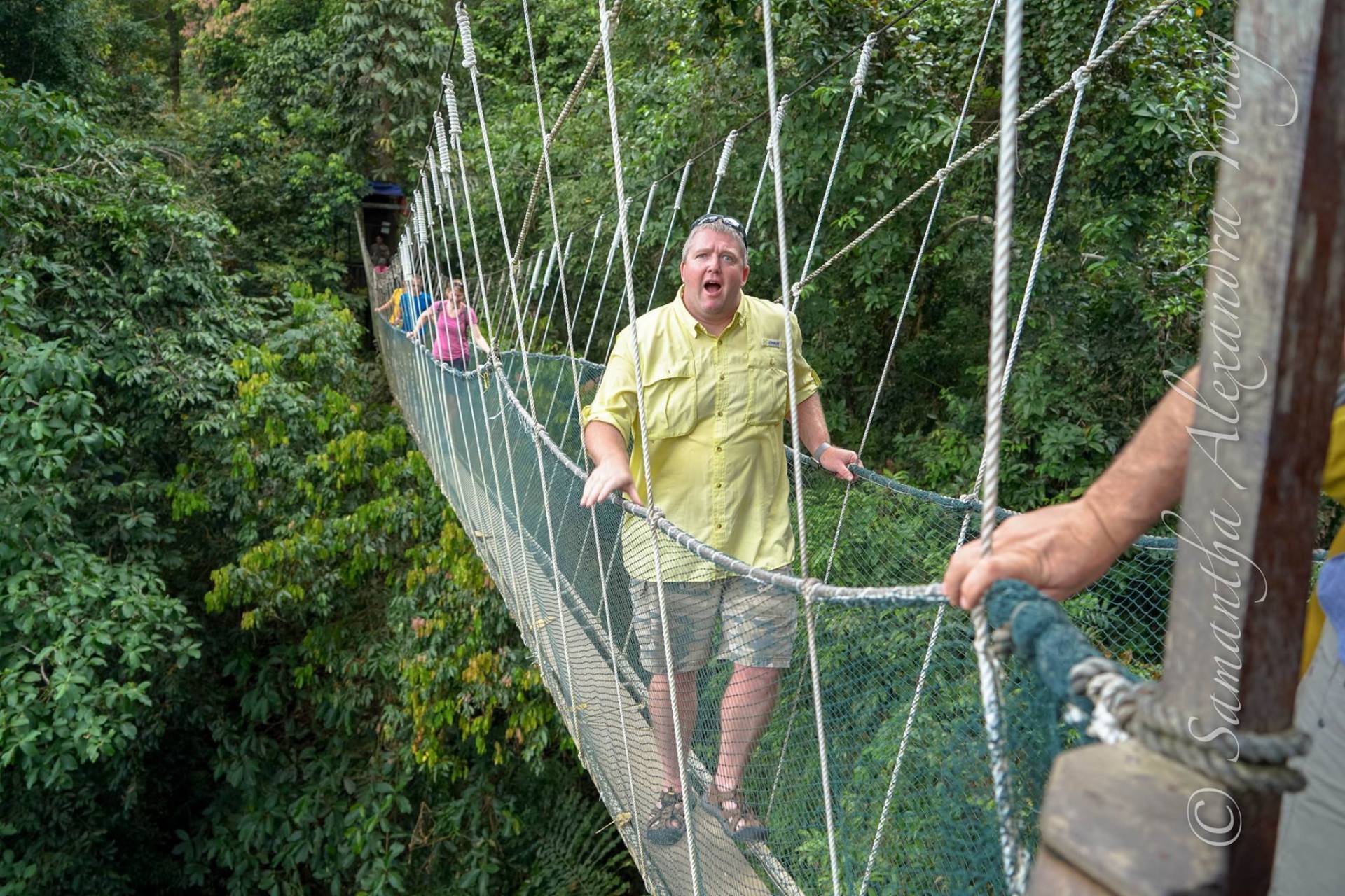 Man on a narrow suspension bridge in a rainforest, looking surprised. Green foliage surrounds.