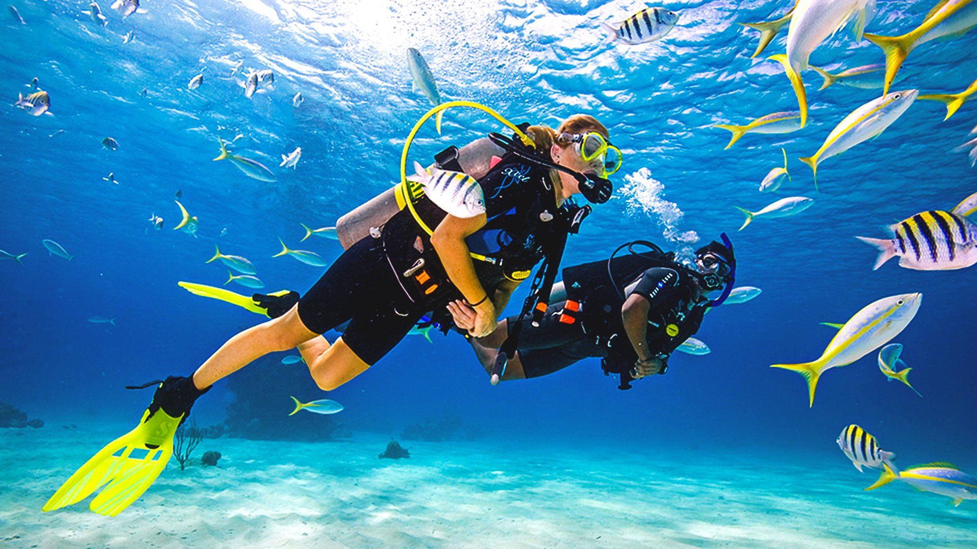 PADI RACTIVATE REFRESHER