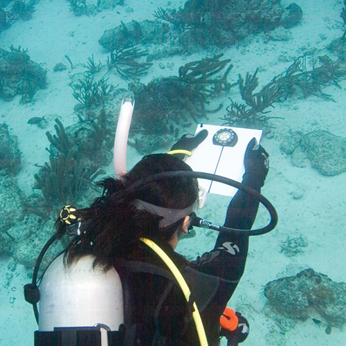 Peak Performance Buoyancy