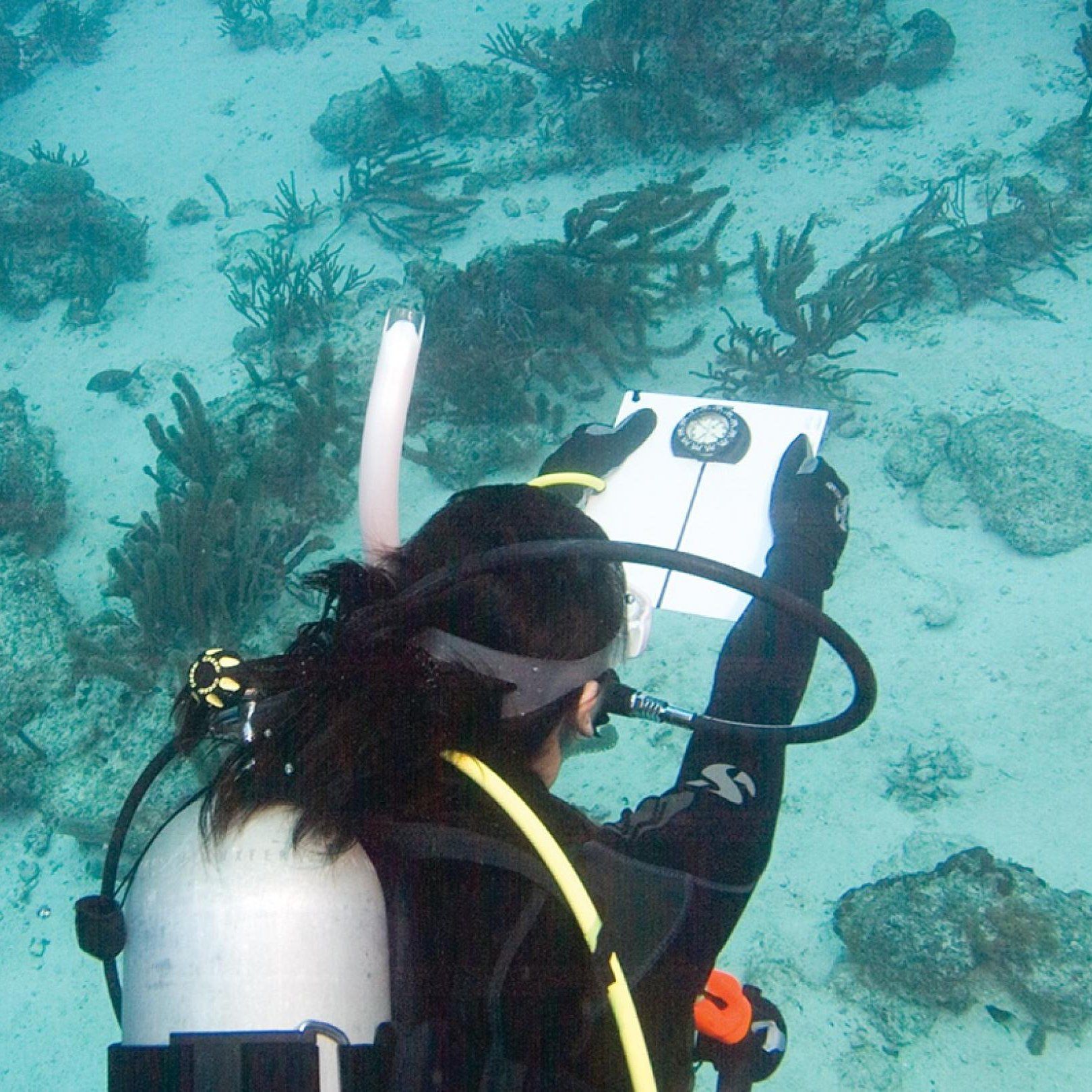 PADI Underwater Navigator Specialty