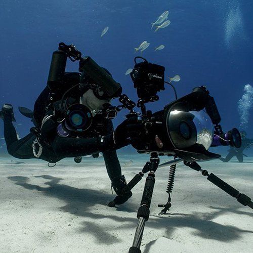 Diver underwater with two cameras on tripod, filming marine life. Blue water, white sand, fish.