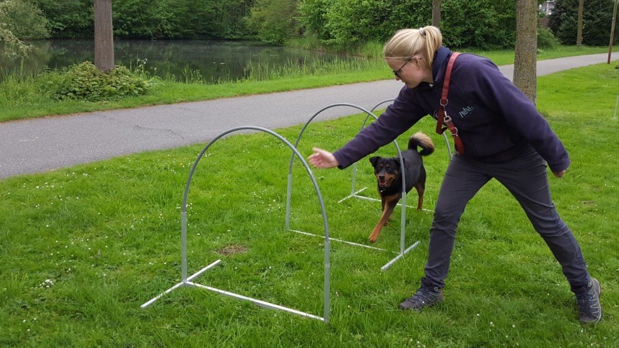 Een vrouw buigt zich voorover naar een hond naast een groene behendigheidsring in een park.