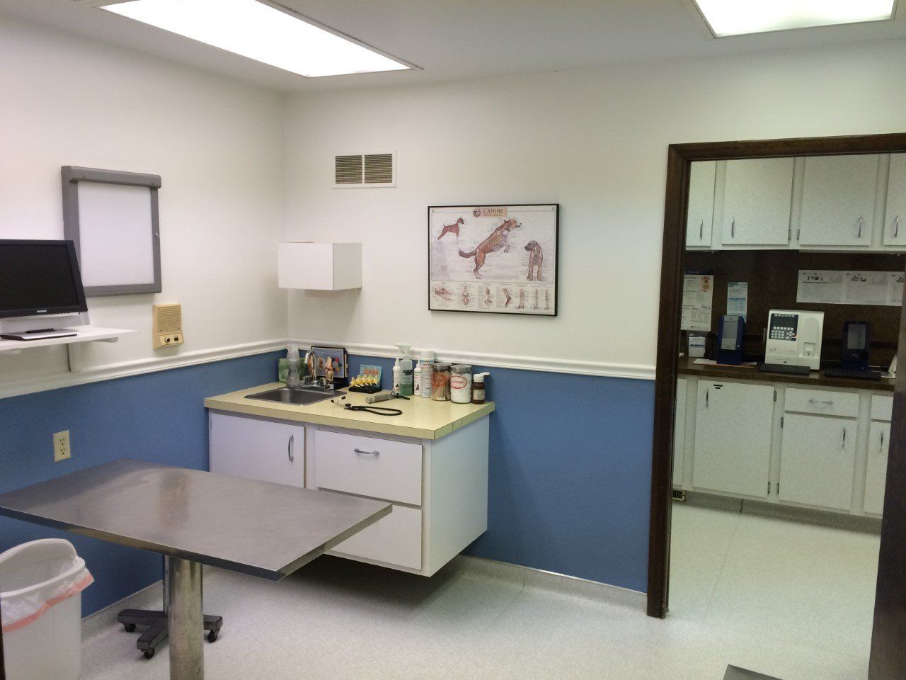 Veterinary Hospital Columbus, OH