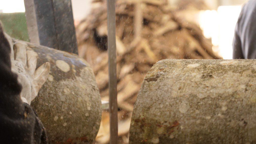 sezione legno