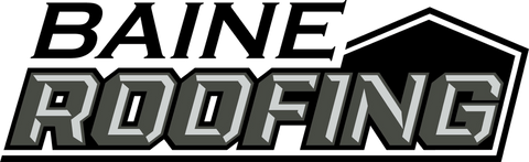 Baine Roofing logo with bold black, gray, and white stylized lettering