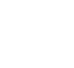 L'icona del relievo