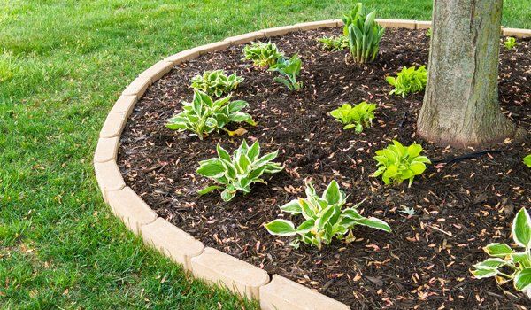 Tree And Plant Bed With Mulch — Carencro, LA — Boudreaux’s Lawn Service