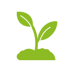 garden services