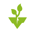 garden maintenance