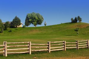 fences
