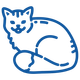 Icona – Gatti