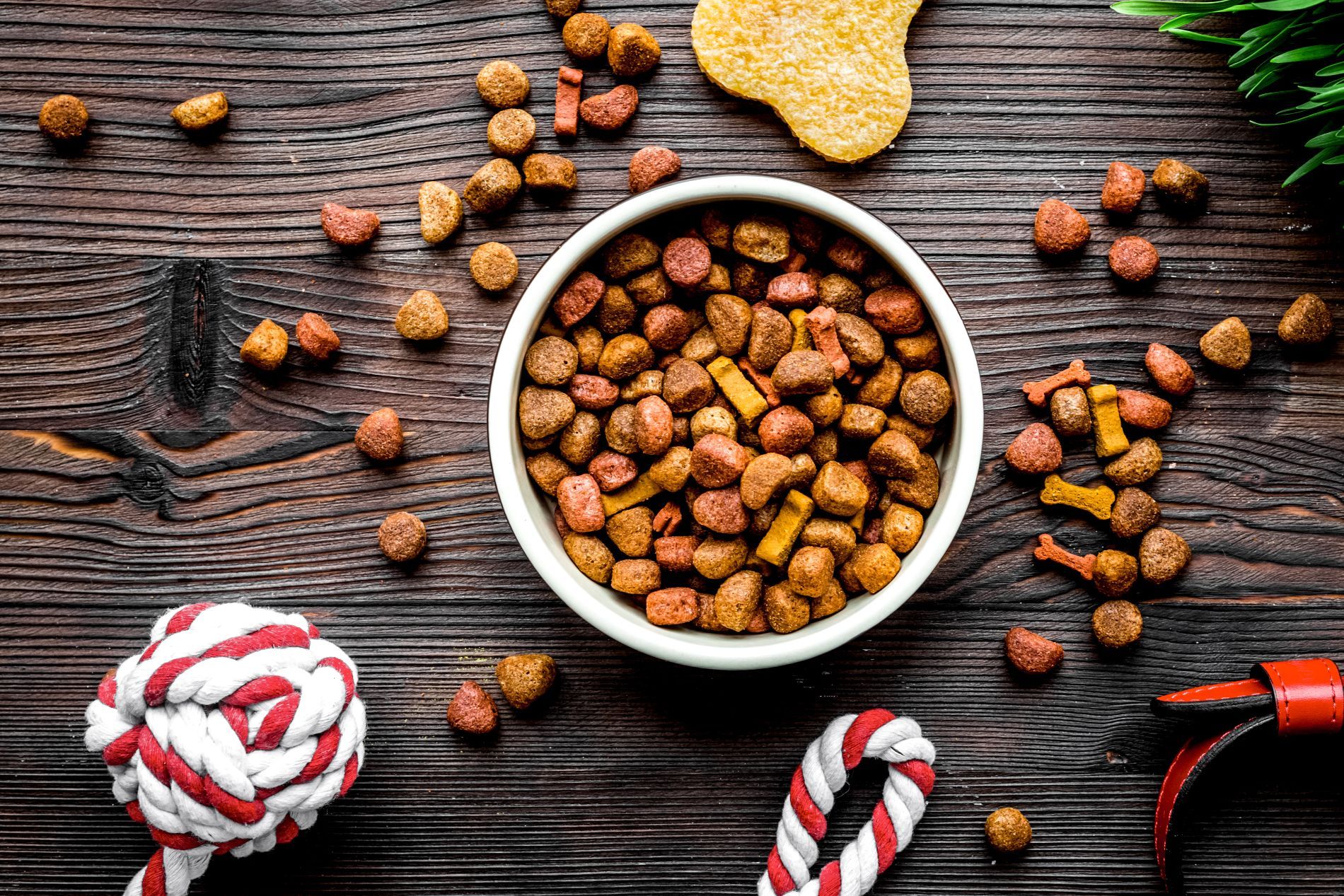 Alimenti per animali