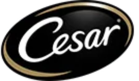Logo Cesar