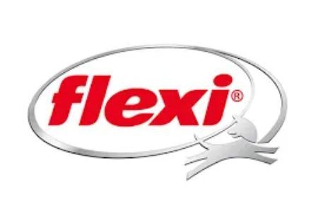 Logo Flexi