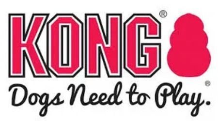 Logo Kong