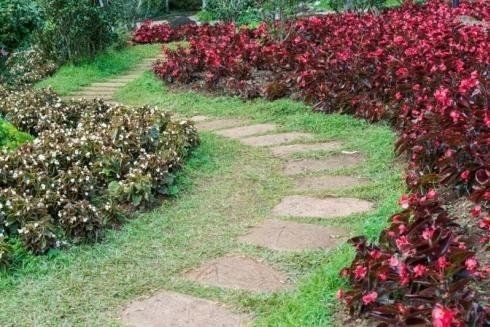 Un sentiero in pietra si snoda attraverso un giardino delimitato da vivaci begonie rosse e da un lussureggiante fogliame verde.