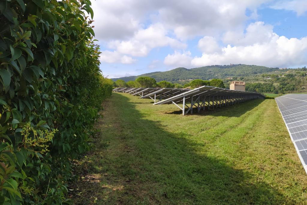 File di pannelli solari installati su un campo erboso, delimitato da una fitta siepe verde sotto un cielo parzialmente nuvoloso.