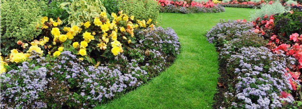 Un sentiero erboso serpeggiante si snoda attraverso rigogliose aiuole ricche di fiori gialli, viola e rossi.
