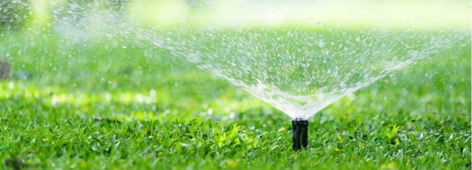 Un irrigatore da giardino spruzza un ampio e nebuloso getto d'acqua su un campo erboso verde brillante in una giornata di sole.