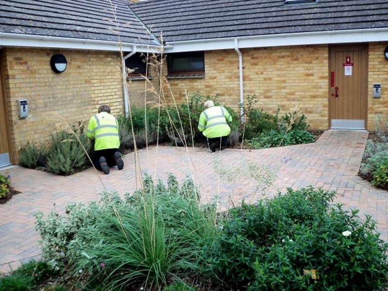 LANDSCAPING