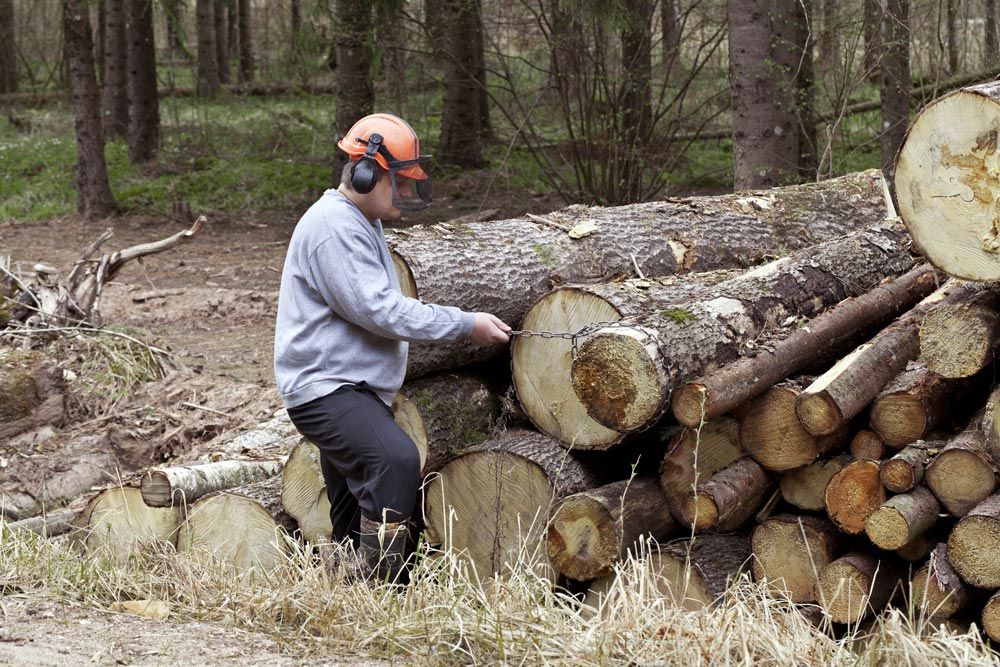 WOODLAND MANAGEMENT
