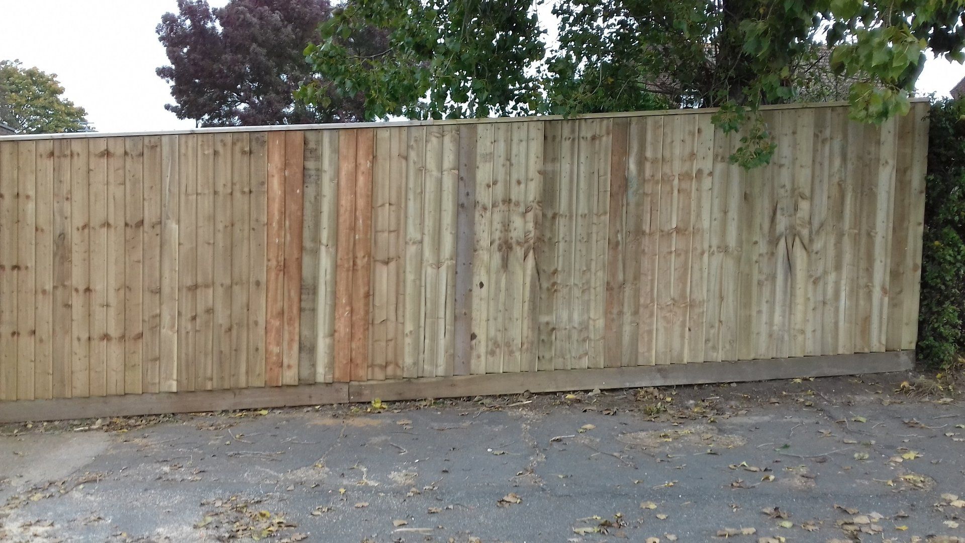fencing