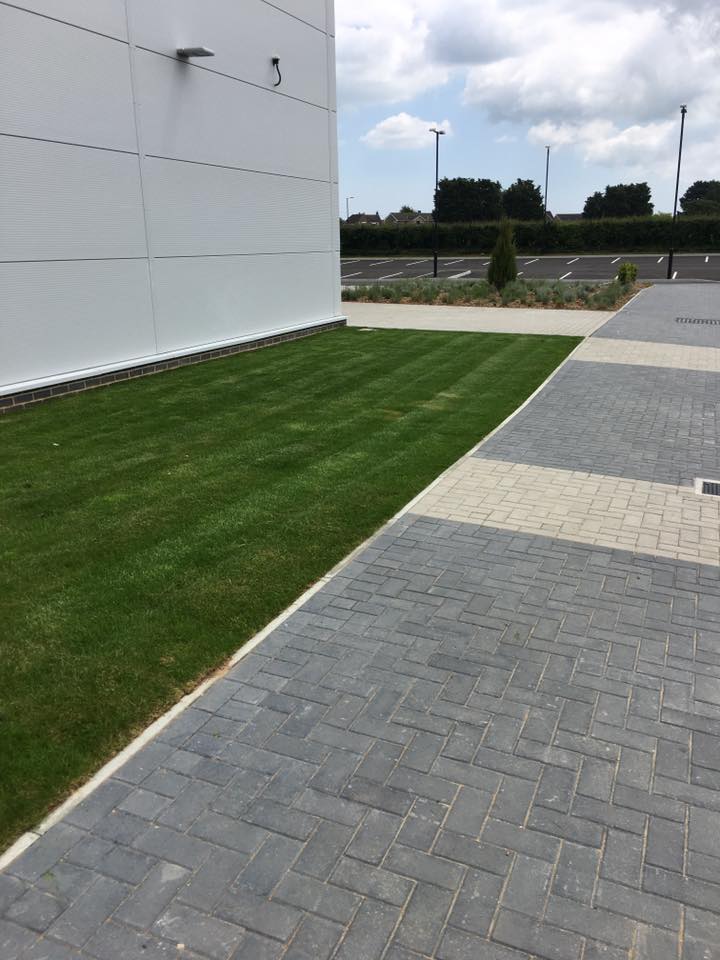 grass cutting