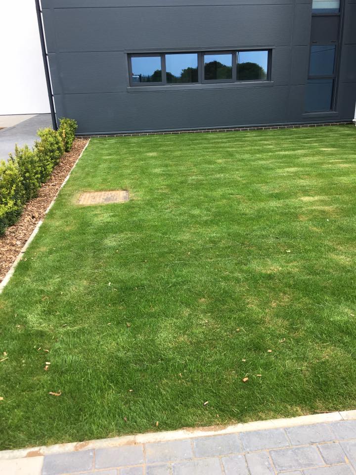 grass maintenance