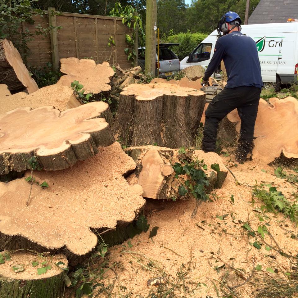 tree removal