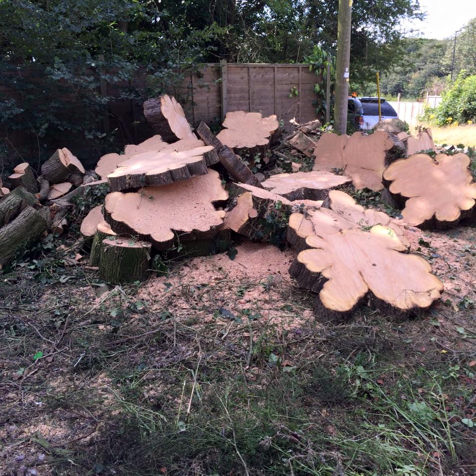 stump removal