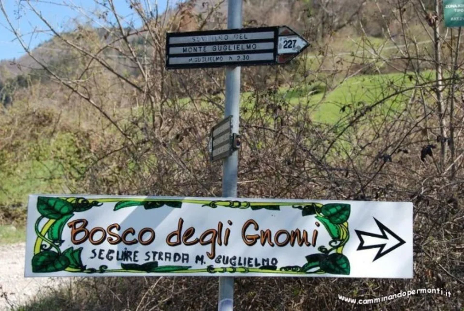 Paesaggi
