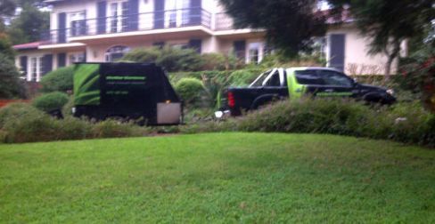 Our gardening services will have your garden looking beautiful