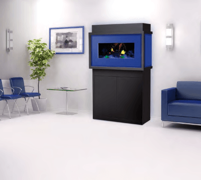 An aquarium in a waiting room with blue accents. Black cabinet, blue fish tank frame.