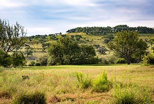 Hillside 2