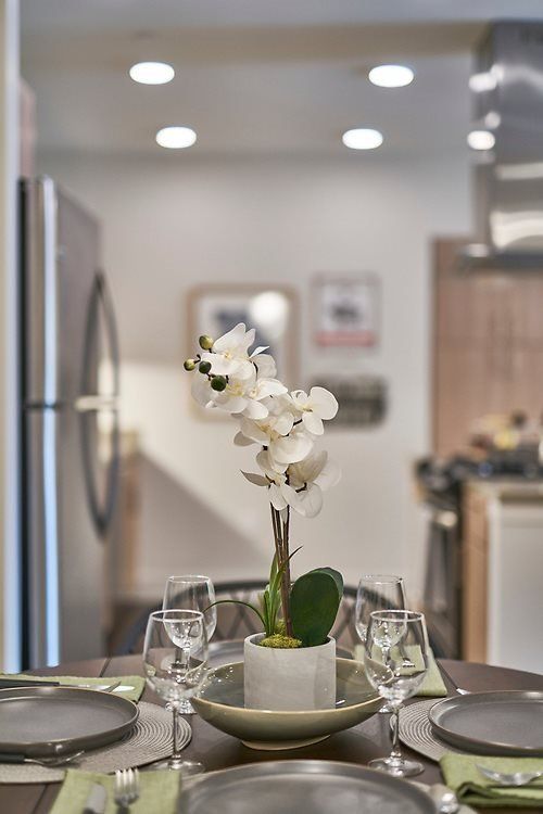 latitude 37 kitchen