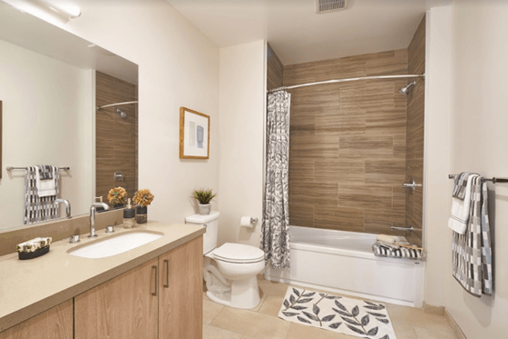 latitude 37 bathroom