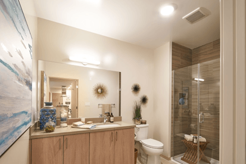 latitude 37 bathroom