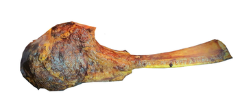 bistecca