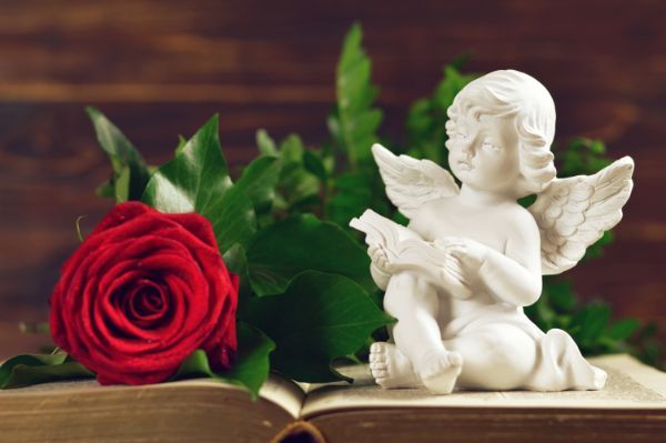 rosa rossa e arte funeraria