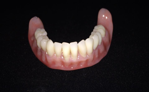 set of bottom false teeth