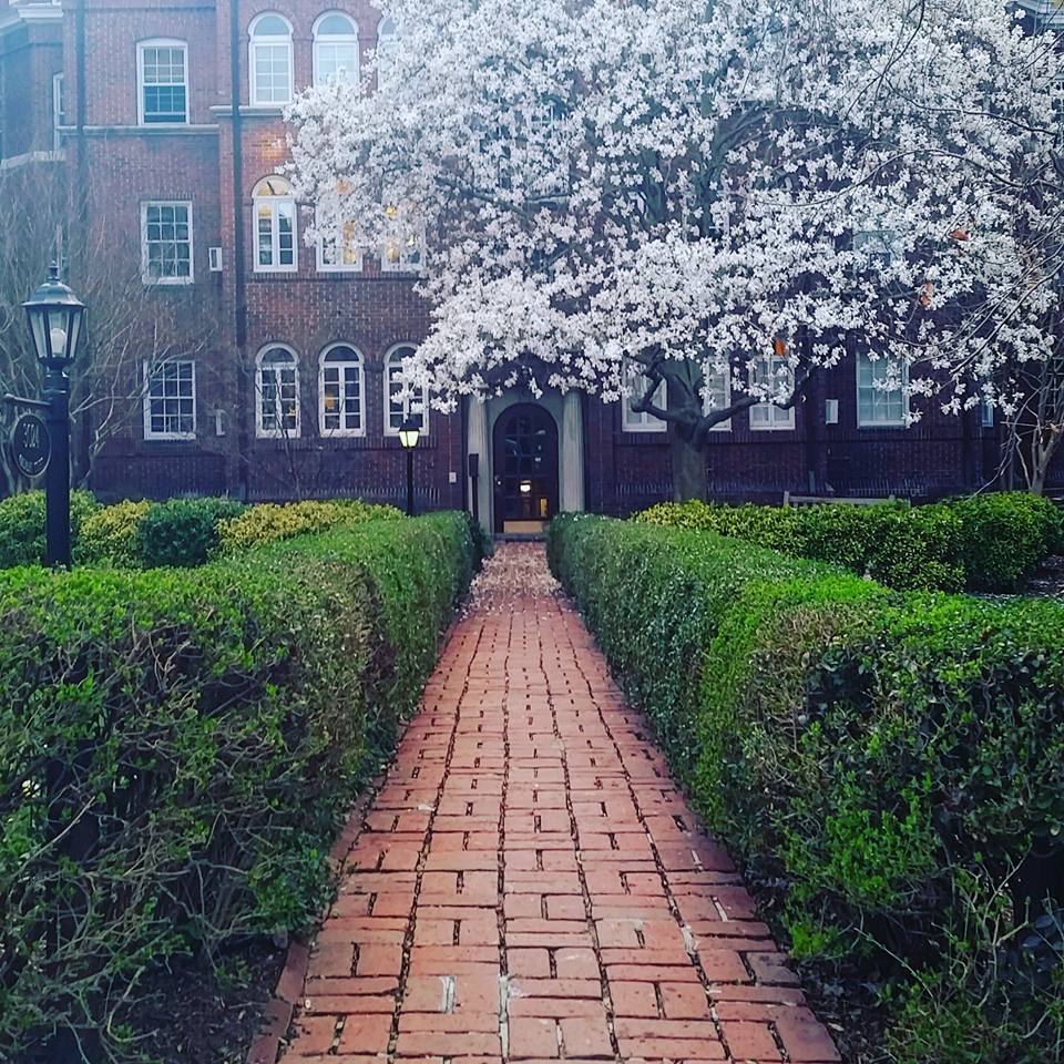 brick walkway